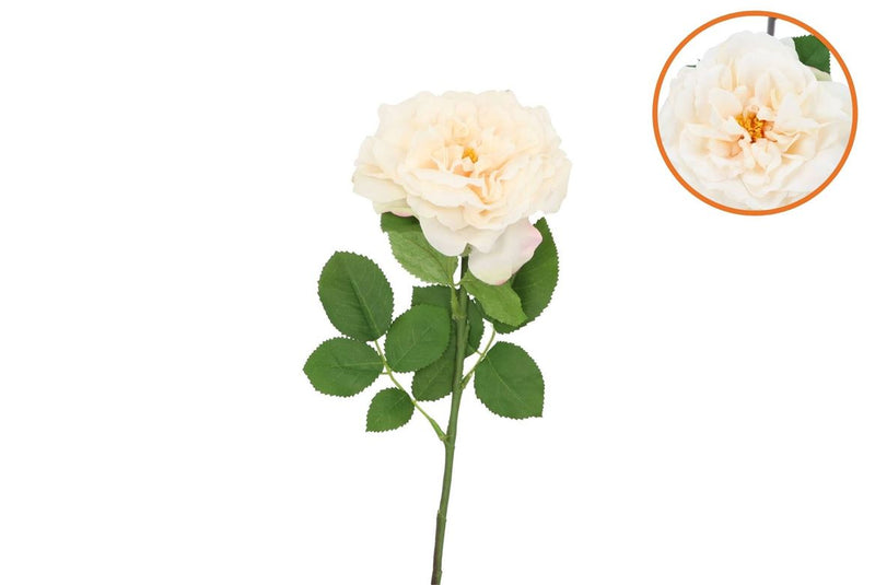 Silk Wild Rose Cream Single 65cm