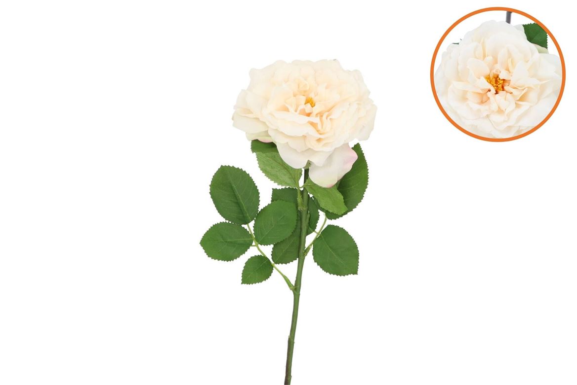 Silk Wild Rose Cream Single 65cm