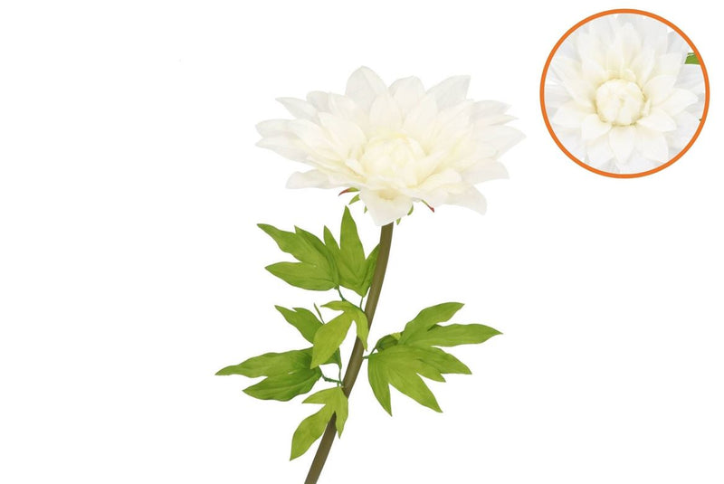 Silk Amazing Dahlia Beauty Cream Xxl 50x120cm