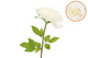 Silk Amazing Rose Beauty Cream Xxl 50x120cm