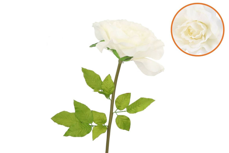 Silk Amazing Rose Beauty Cream Xxl 50x120cm