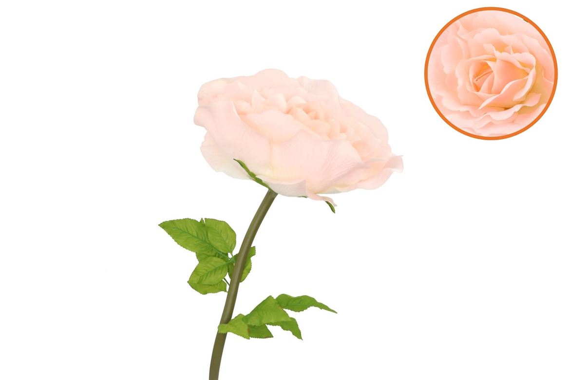 Silk Amazing Rose Beauty Peach Xl 40x110cm