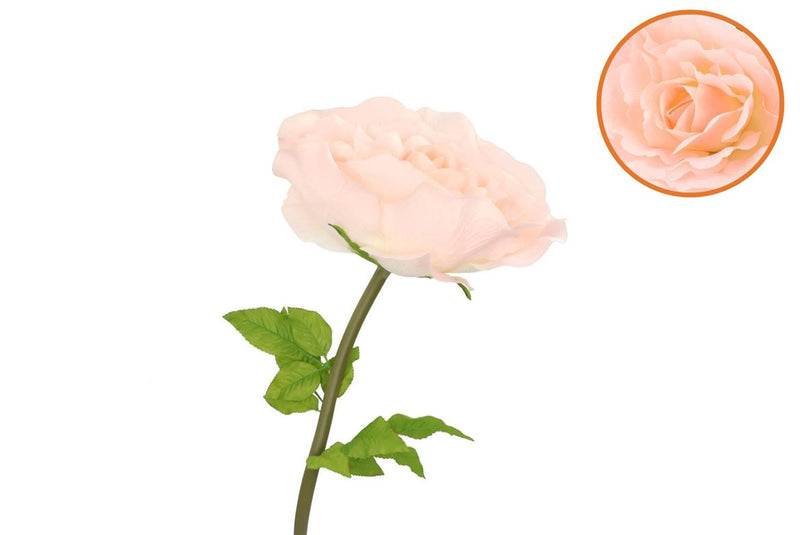 Silk Amazing Rose Beauty Peach Xl 40x110cm