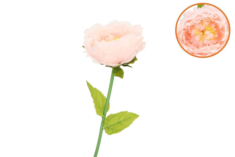 Silk Amazing Peony Beauty Peach Xxl 48x128cm