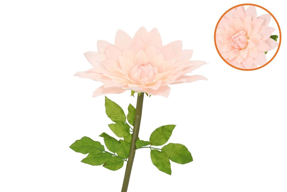Silk Amazing Dahlia Beauty Peach Xxl 50x120cm