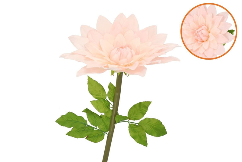 Silk Amazing Dahlia Beauty Peach Xxxl 65x145cm