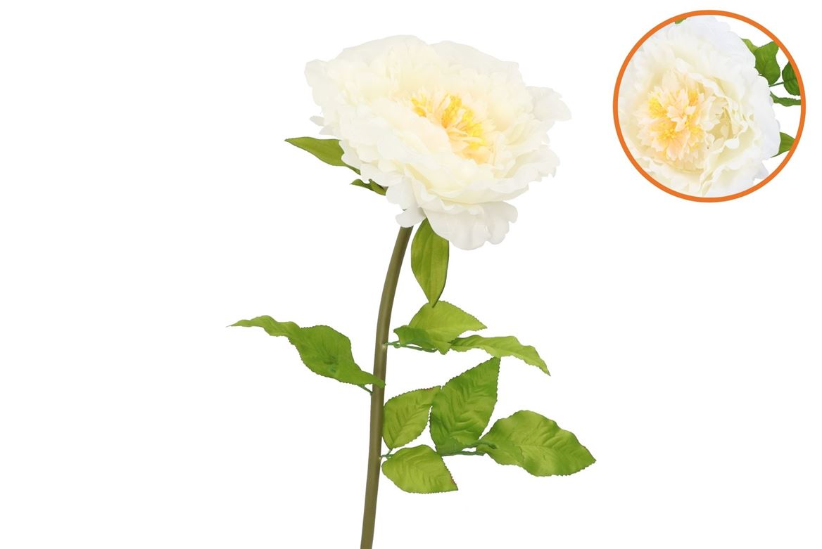 Silk Amazing Peony Beauty Cream Xxxl 58x140cm