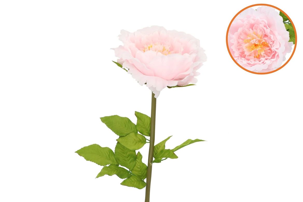 Silk Amazing Peony Beauty Light Pink Xxl 48x128cm