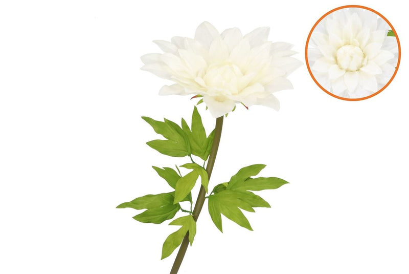 Silk Amazing Dahlia Beauty Cream Xxxl 65x145cm