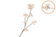 Silk Cherry Blossom Champagne 85cm