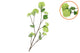 Silk Viburnum Green 117cm