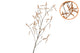 Silk Hazel Branch Brown 130cm