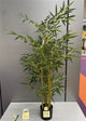 Silk Plant Bamboo H120d80