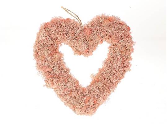 Heart Reindeer Moss L30w30h5