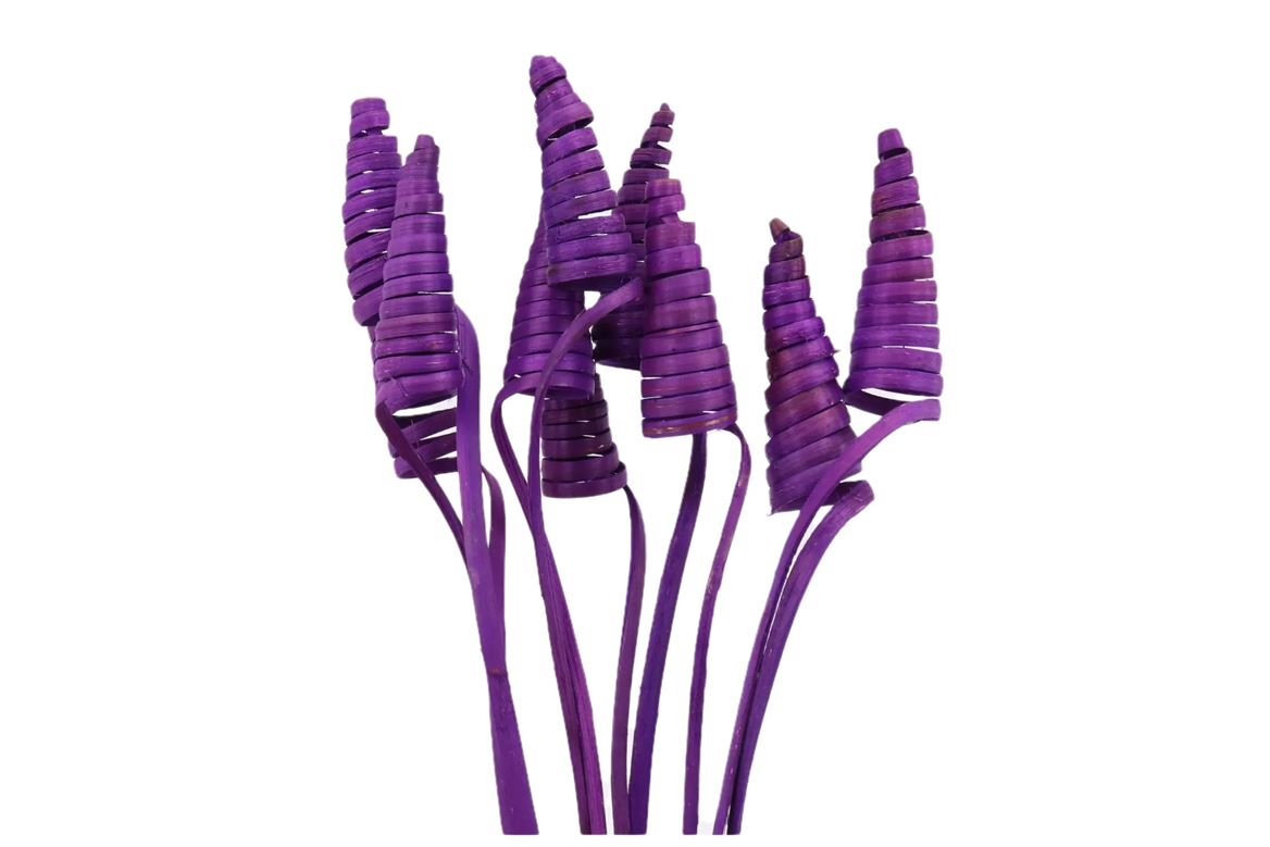 Stem Cane Cone 10 Pcs