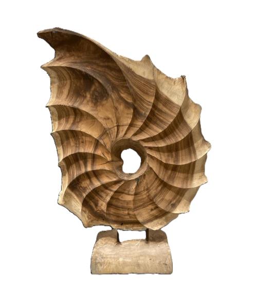 Shell Teak Kerang L60w15h100