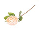 Stem Peony Parfait L65w10h10