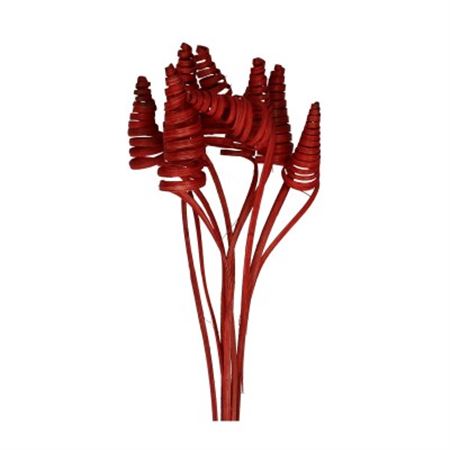 Stem Cane Cone 10 Pcs