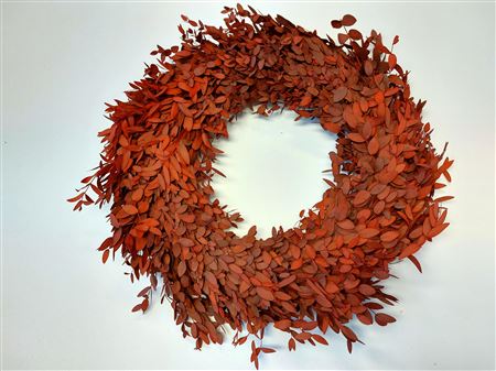 Wreath Eucalyptus Parvifoglia D35