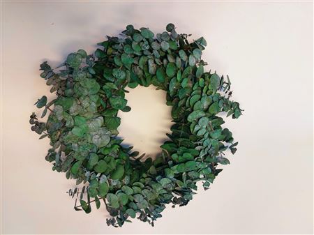 Wreath Eucalyptus Baby D35