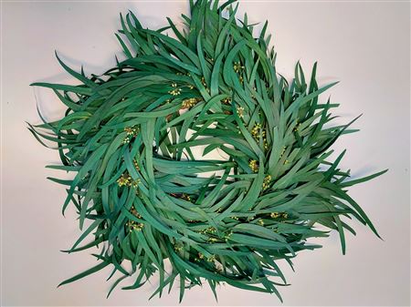 Wreath Eucalyptus Nicoly Berry D35