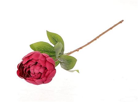 Stem Peony Parfait L65w10h10