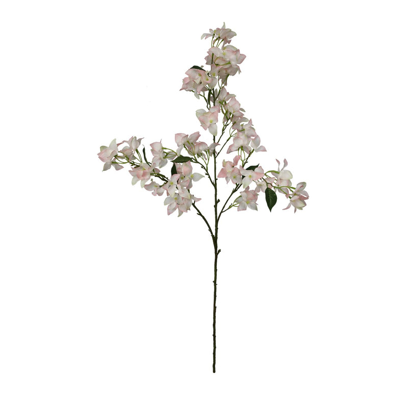 Stem Bougainvillea L104w34h10