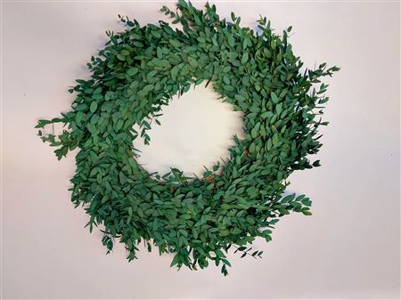 Wreath Eucalyptus Parvifoglia D35